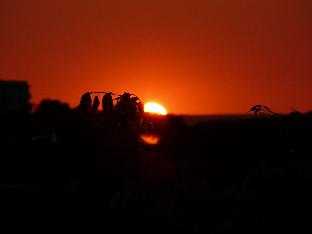 Sonnenuntergang