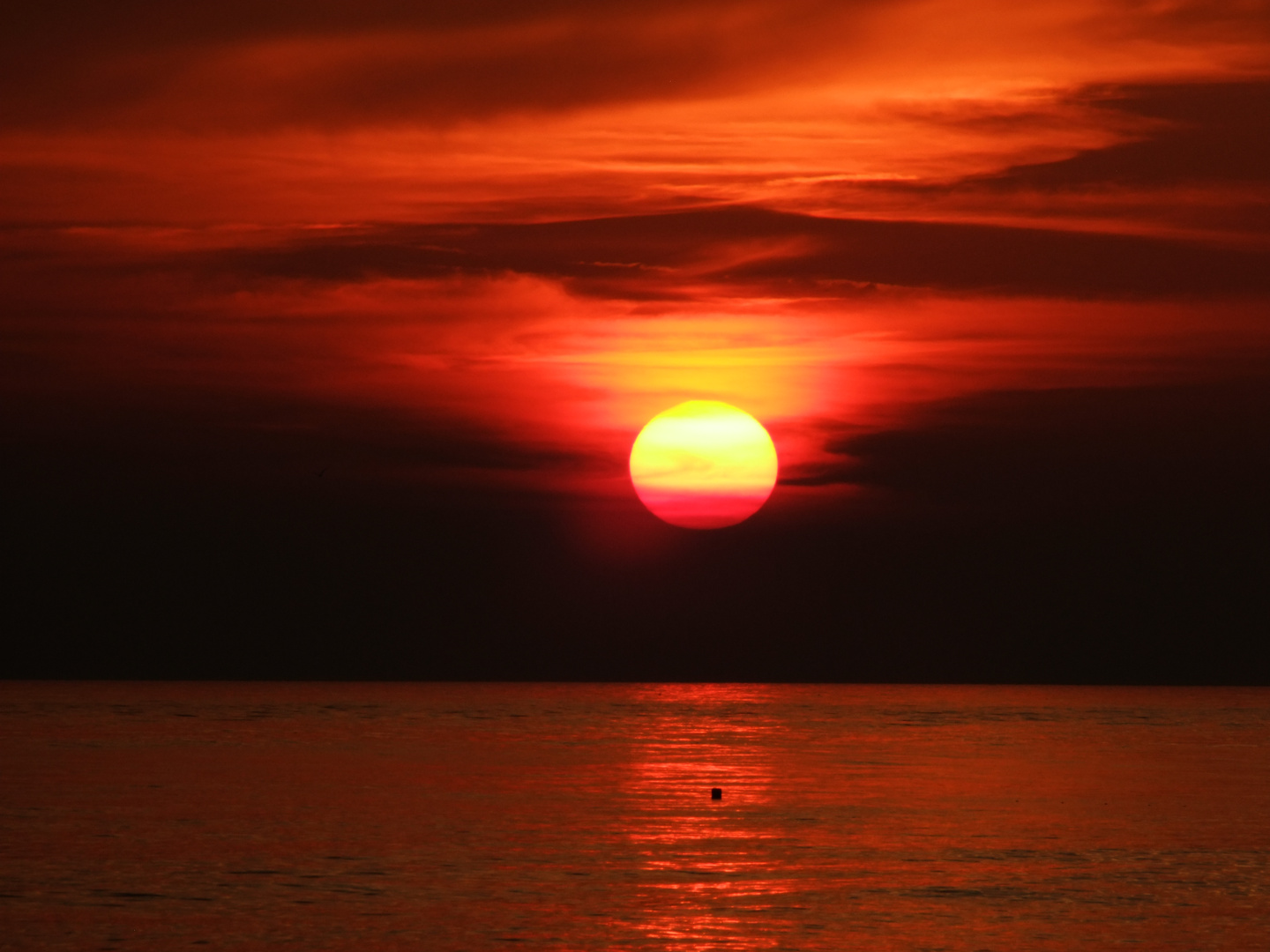 Sonnenuntergang bei Ada Bojana, Montenegro