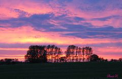 Sonnenuntergang bei Ahrenshoop