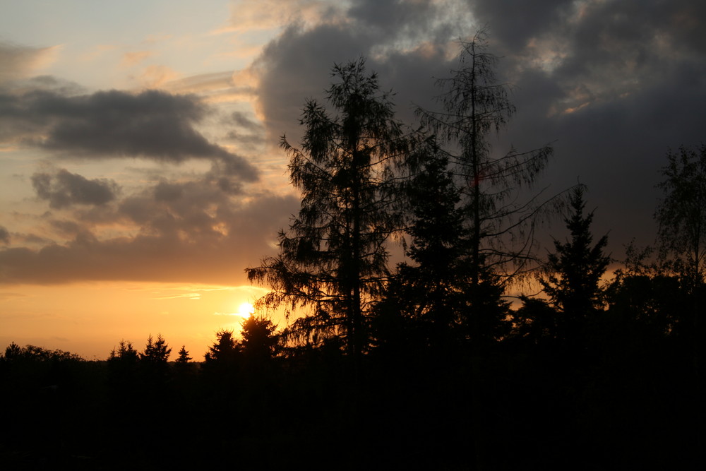 Sonnenuntergang bei Aken