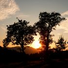 Sonnenuntergang bei Altpernstein