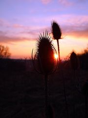 Sonnenuntergang bei Ammerndorf