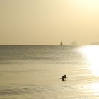 Sonnenuntergang bei Anse les Salines, Martinique