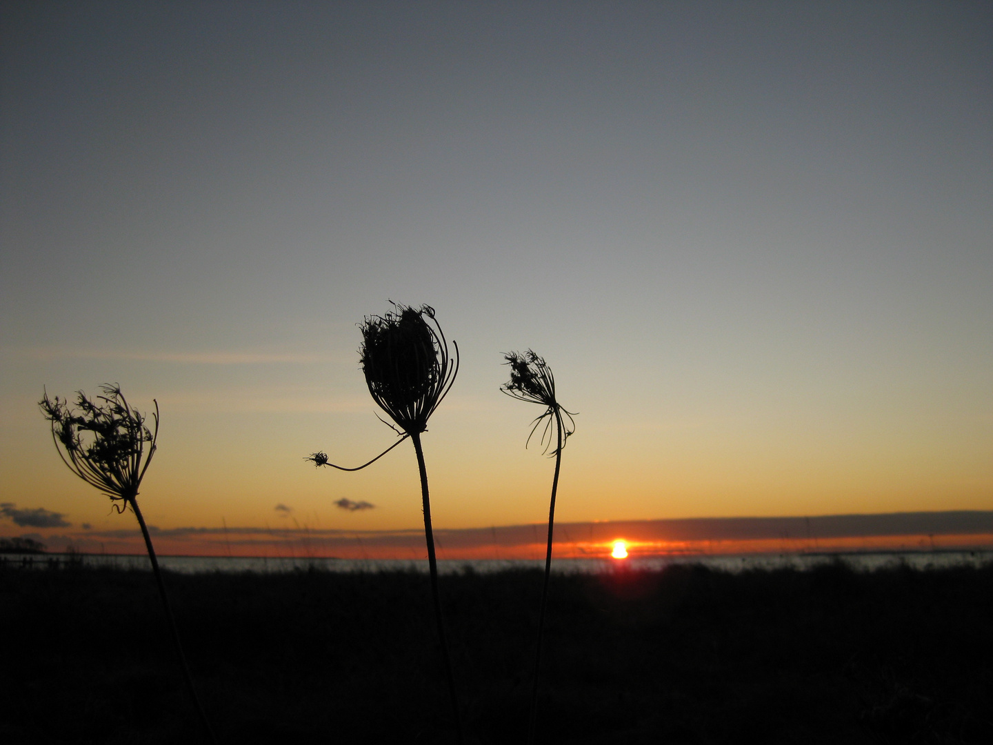 Sonnenuntergang bei Assens, Fyn