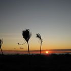 Sonnenuntergang bei Assens, Fyn