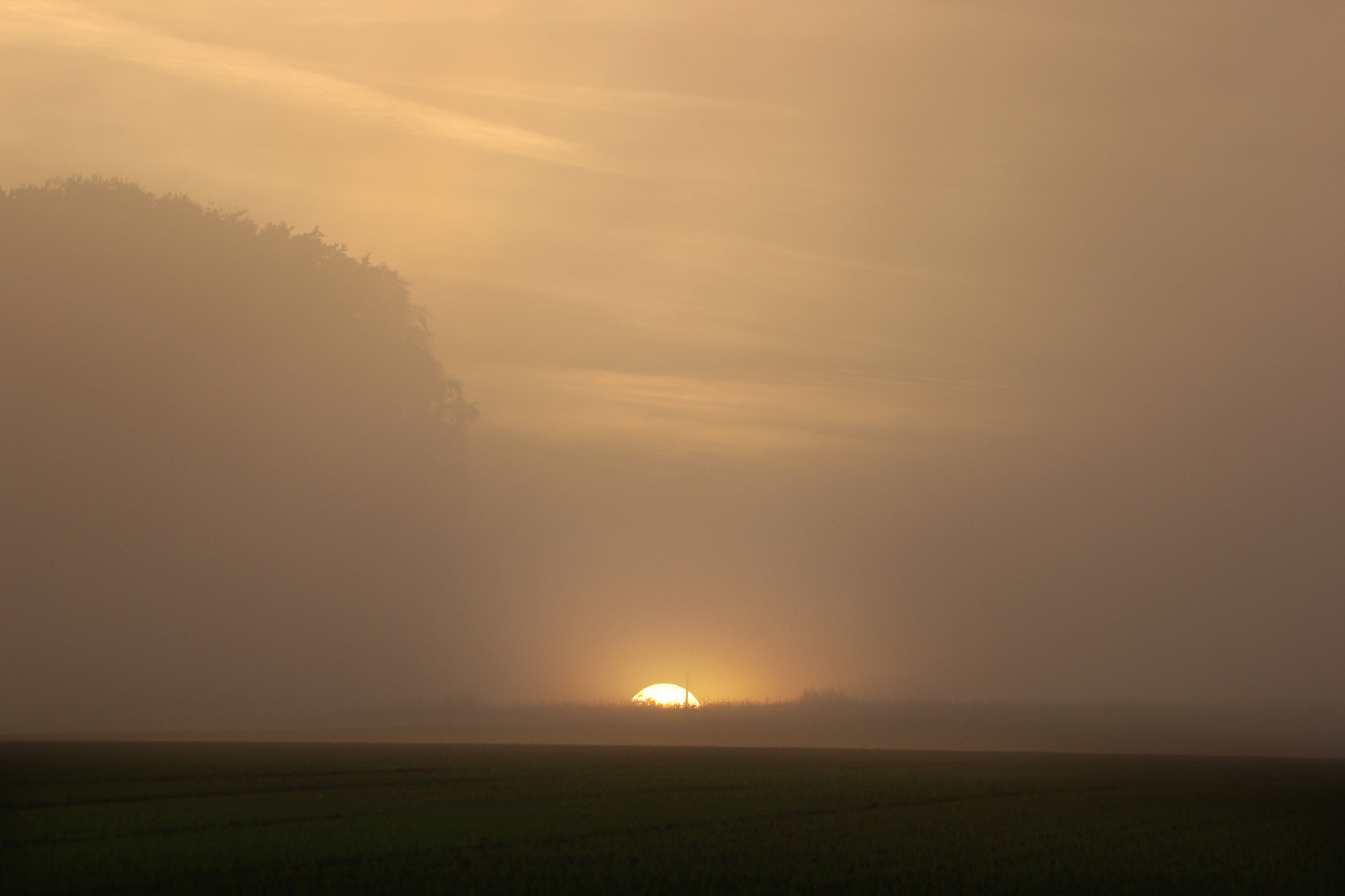 Sonnenuntergang bei aufziehendem Nebel