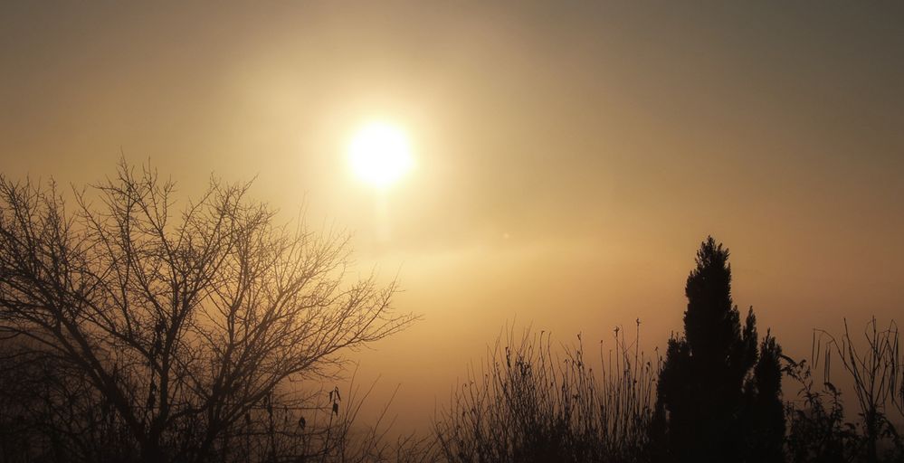 Sonnenuntergang bei aufziehendem Nebel