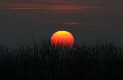 Sonnenuntergang bei Bad Nenndorf