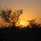 Sonnenuntergang bei Bandiagara