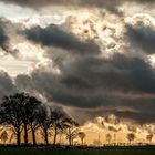 Sonnenuntergang bei Basthorst