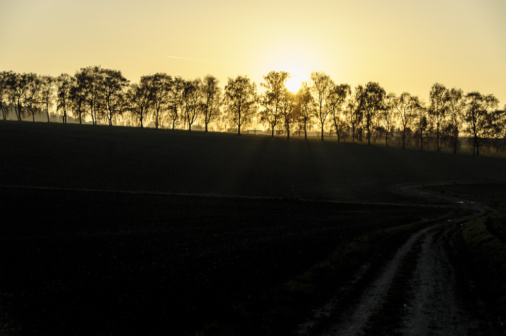 Sonnenuntergang bei Biburg