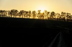 Sonnenuntergang bei Biburg