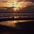 Sonnenuntergang bei Blåvand.