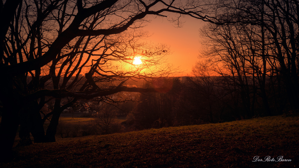 Sonnenuntergang bei Bonn