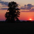 Sonnenuntergang bei Braunshardt