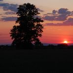 Sonnenuntergang bei Braunshardt