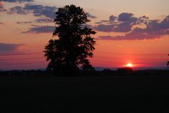 Sonnenuntergang bei Braunshardt