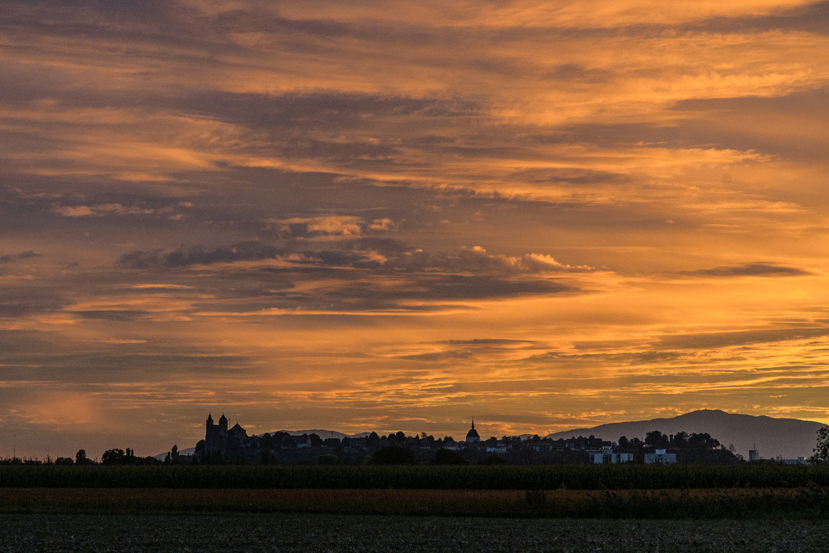 Sonnenuntergang bei Breisach