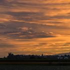 Sonnenuntergang bei Breisach