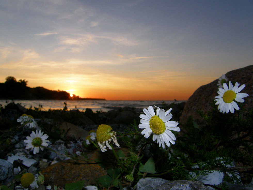 Sonnenuntergang bei Bülk