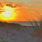 Sonnenuntergang bei Cadzand Bad