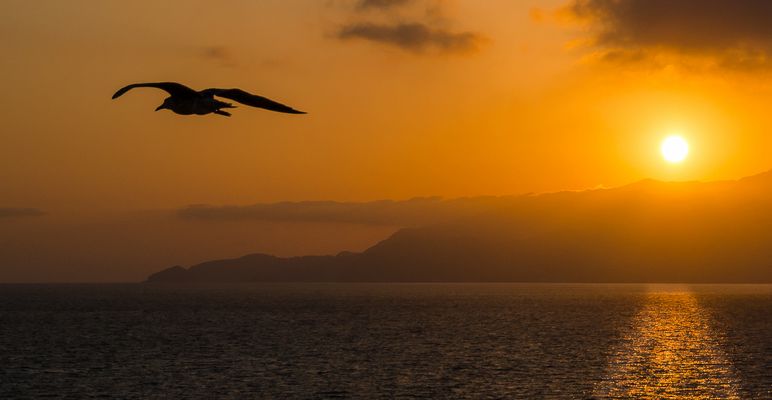 Sonnenuntergang bei Capri