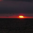 Sonnenuntergang bei Colonia Sant Jordi