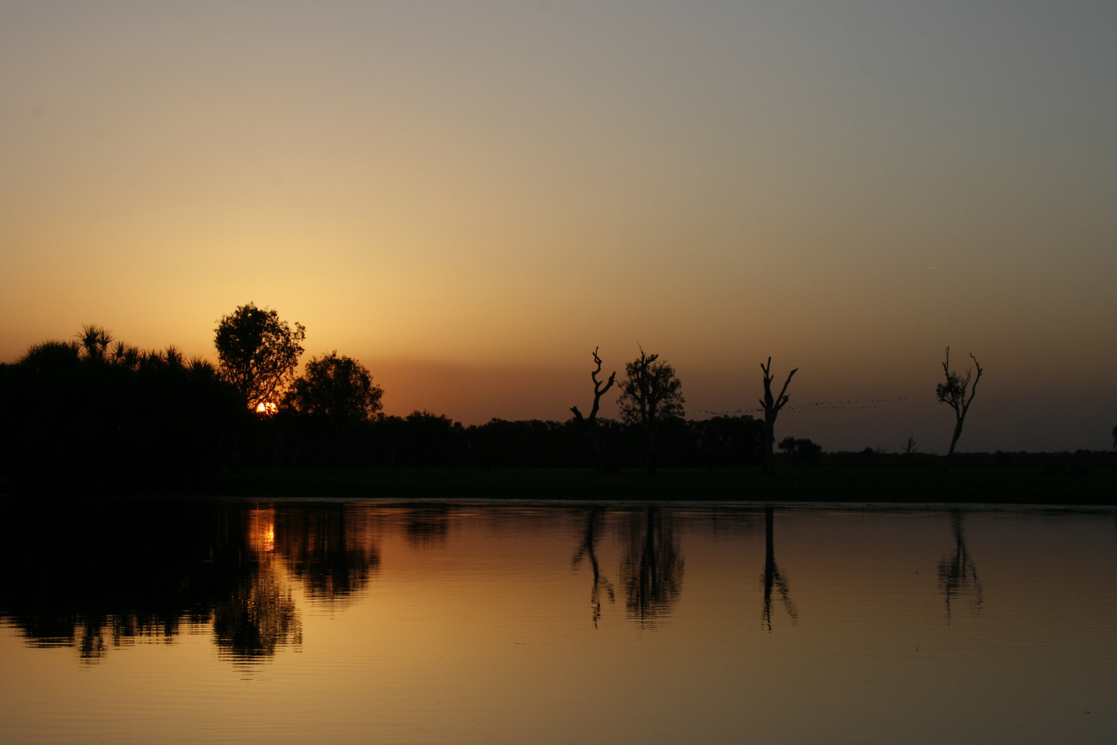 Sonnenuntergang bei Cooinda / Yellow Waters