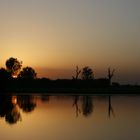 Sonnenuntergang bei Cooinda / Yellow Waters