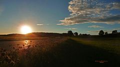 " Sonnenuntergang bei Dächingen "