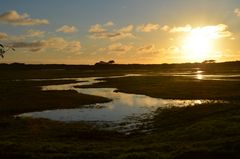 Sonnenuntergang bei den Salzwiesen 