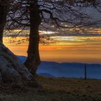 Sonnenuntergang bei den Windbuchen