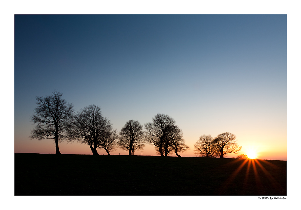 Sonnenuntergang bei den Windbuchen