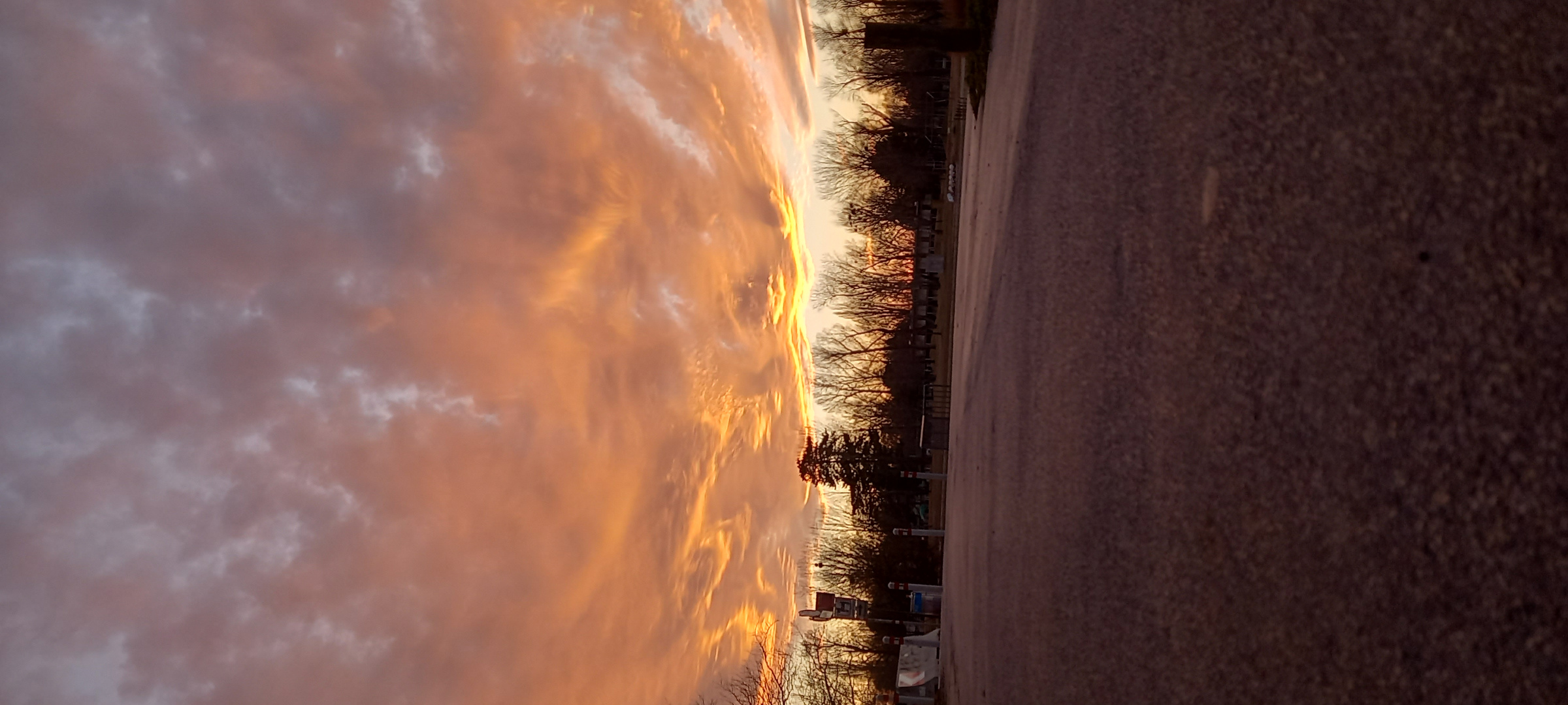 Sonnenuntergang bei der Alten Donau. 