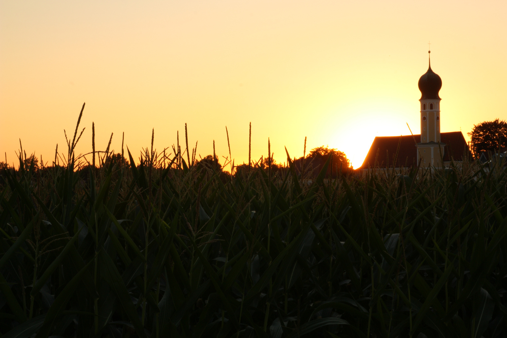 Sonnenuntergang bei der Heilig Blut Kirche in Rosenheim