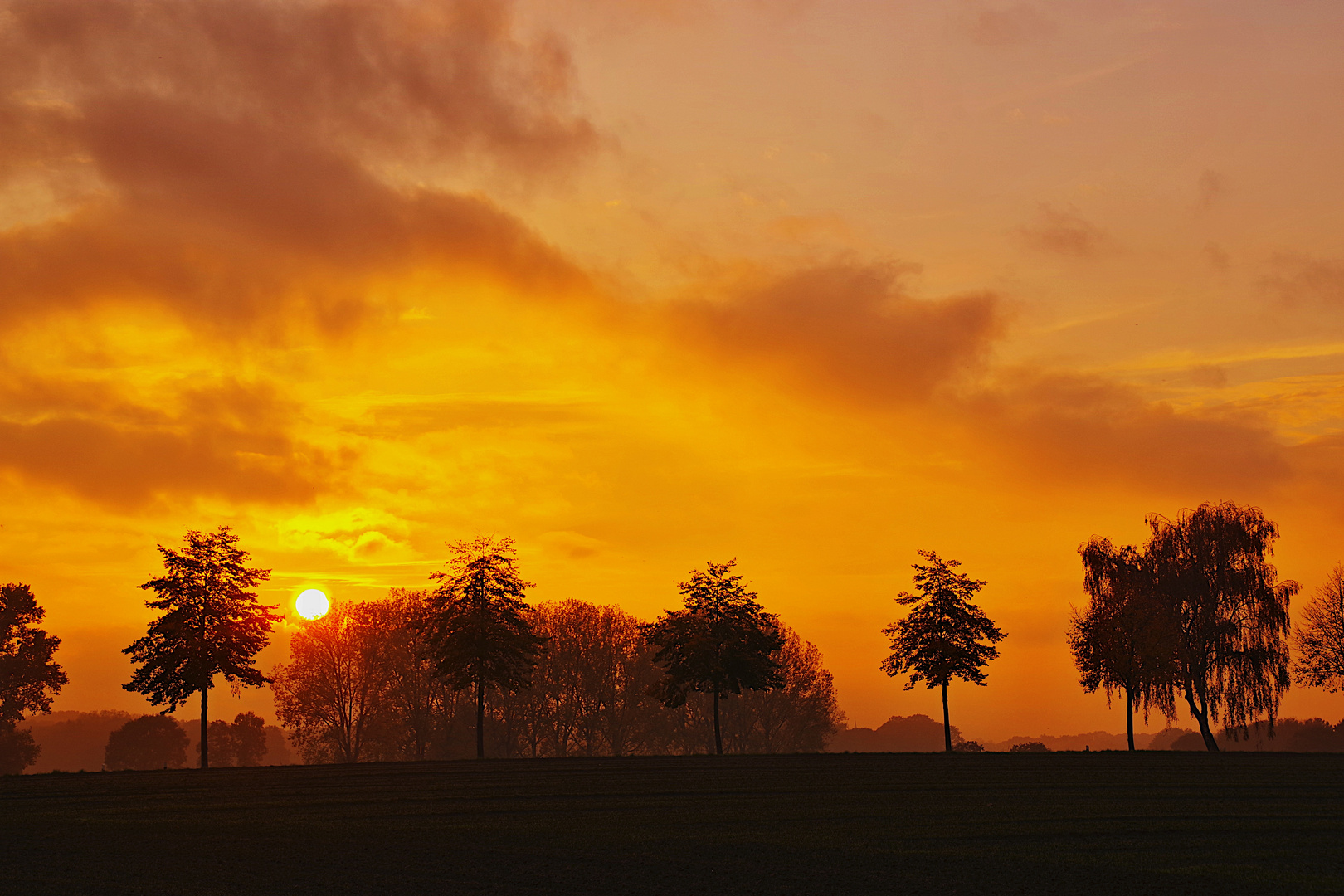 Sonnenuntergang bei der Jagd. 