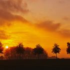 Sonnenuntergang bei der Jagd. 