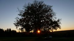 Sonnenuntergang bei der Schertelshöhle