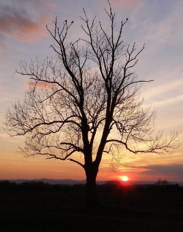 Sonnenuntergang bei Dorf Wehlen