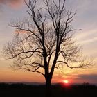 Sonnenuntergang bei Dorf Wehlen