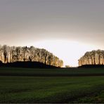 Sonnenuntergang bei Dürrenäsch / CH