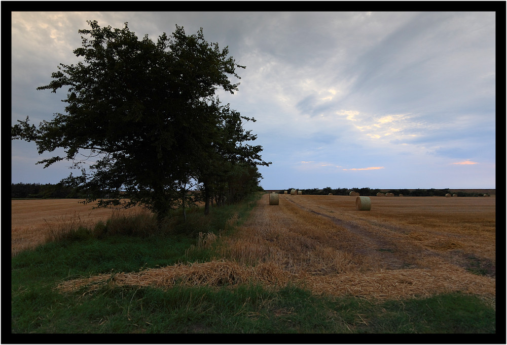 Sonnenuntergang Bei Dunsum auf Föhr