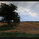 Sonnenuntergang Bei Dunsum auf Föhr