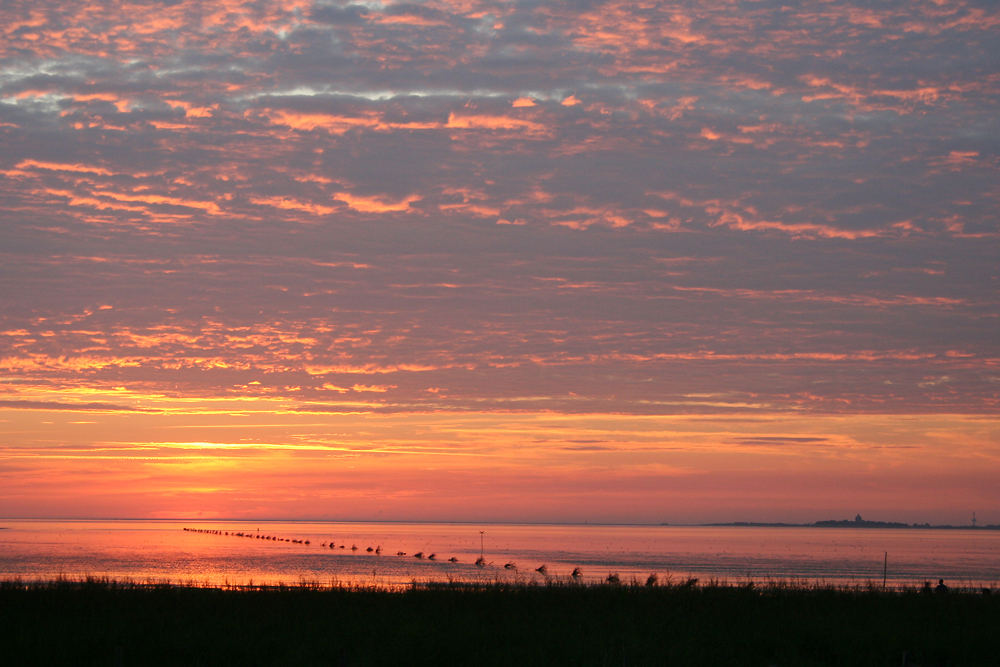 Sonnenuntergang bei Ebbe