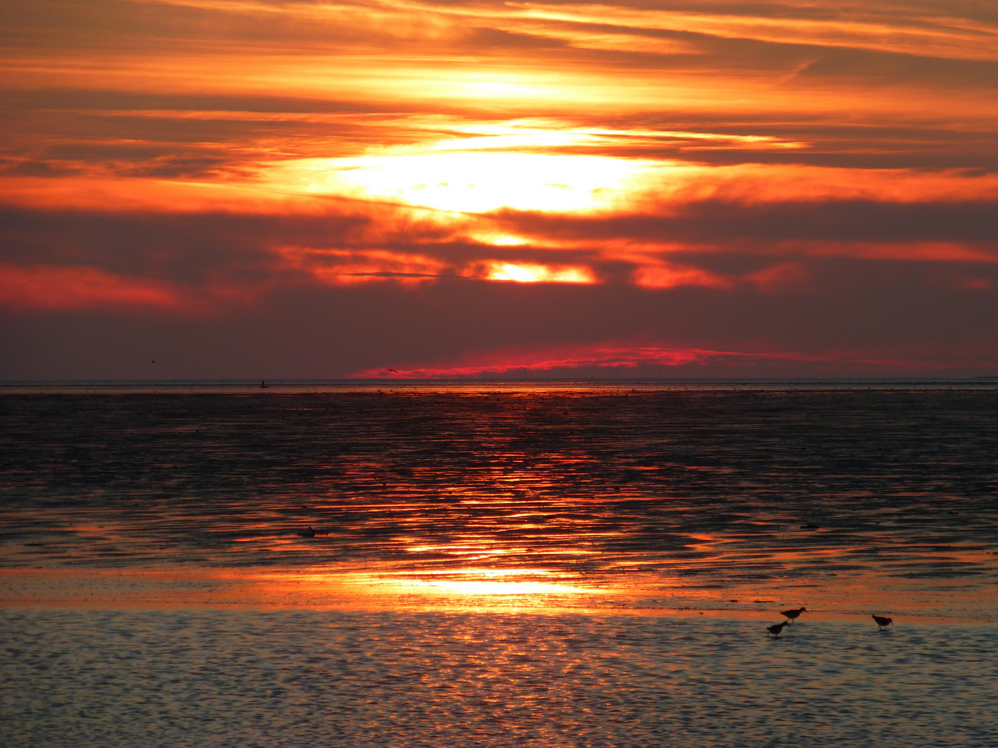 Sonnenuntergang bei Ebbe...