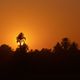 Sonnenuntergang bei Edfu