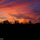 Sonnenuntergang bei Elmshorn am 14.11.05