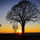 Sonnenuntergang bei Emmerthal-Bessinghausen