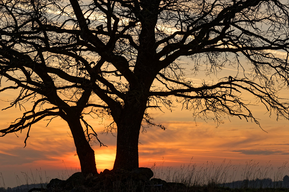 Sonnenuntergang bei Freilingen