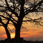 Sonnenuntergang bei Freilingen